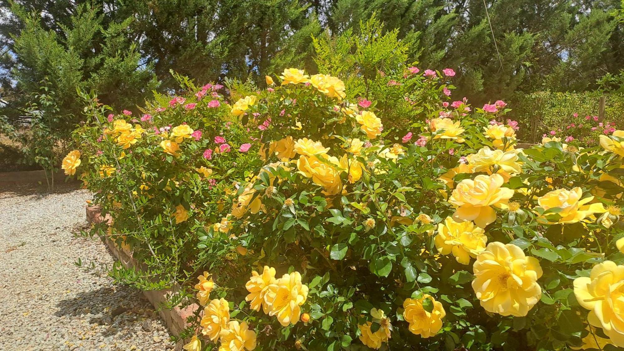 African Dawn B&B Calvinia エクステリア 写真